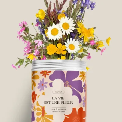 Décorations florales - Kit à semer - La vie est une fleur - DIAIWAIE