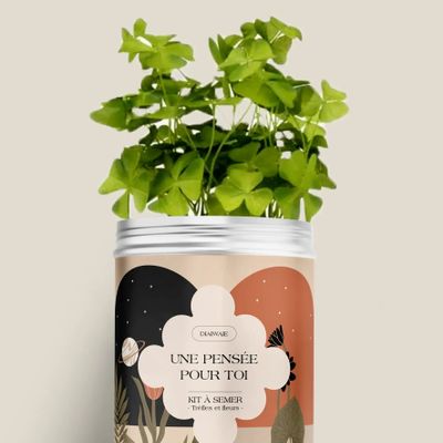 Décorations florales - Kit à semer - Une pensée pour toi - DIAIWAIE