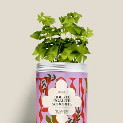 Décorations florales - Kit à semer - Liberté égalité sororité - DIAIWAIE