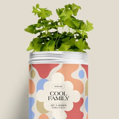Floral decoration - Sowing Kit - Cool Family - DIAIWAIE