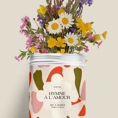 Décorations florales - Kit à semer - Hymne à l'amour - DIAIWAIE