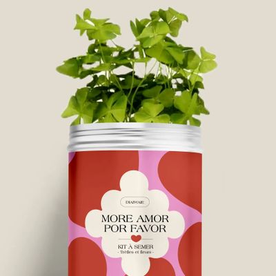 Décorations florales - Kit à semer - More amor por favor - DIAIWAIE