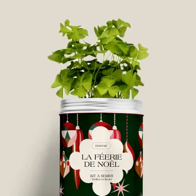 Décorations florales - Kit à semer - La féerie de Noël - DIAIWAIE