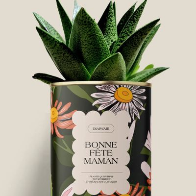Gifts - Bonne fête maman - Maxi Aloé - DIAIWAIE