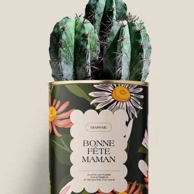 Cadeaux - Bonne fête maman - Maxi Cactus - DIAIWAIE