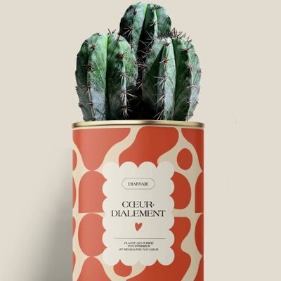 Gifts - Cœur-dialement <3 - Maxi Cactus - DIAIWAIE