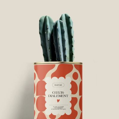 Gifts - Cœur-dialement <3 - Mini Cactus - DIAIWAIE