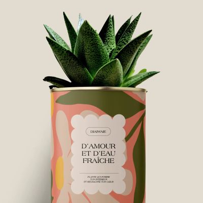 Gifts - D'amour et d'eau fraîche - Maxi aloé - DIAIWAIE