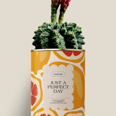 Floral decoration - Juste a perfect day - Maxi Cactus - DIAIWAIE