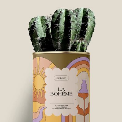 Gifts - La bohème - Maxi cactus - DIAIWAIE