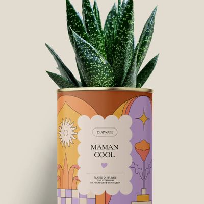 Gifts - Maman cool - Maxi Aloé - DIAIWAIE