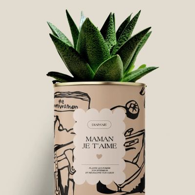 Gifts - Maman je t'aime - Maxi aloé - DIAIWAIE