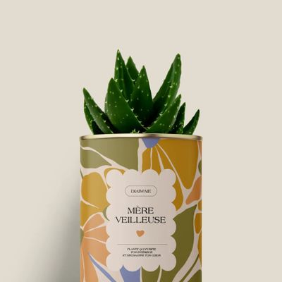 Cadeaux - Mére veilleuse - Mini Aloé - DIAIWAIE