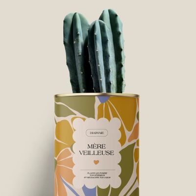 Cadeaux - Mére veilleuse - Mini Cactus - DIAIWAIE