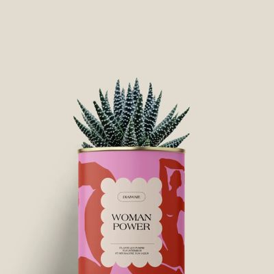 Gifts - Woman power - Mini Aloé - DIAIWAIE