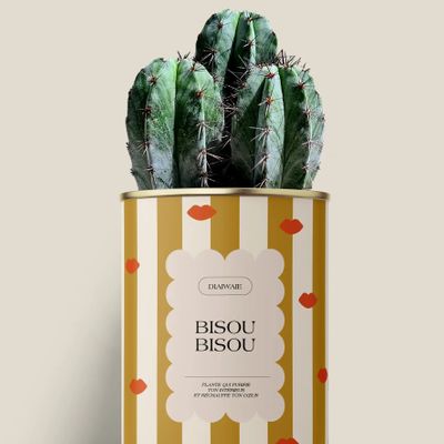 Cadeaux - Bisou bisou - Maxi Cactus - DIAIWAIE