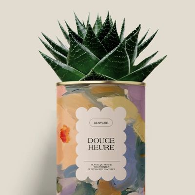 Cadeaux - Douce Heure - Maxi Aloé - DIAIWAIE