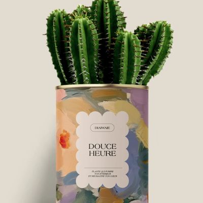 Gifts - Douce Heure - Maxi Cactus - DIAIWAIE