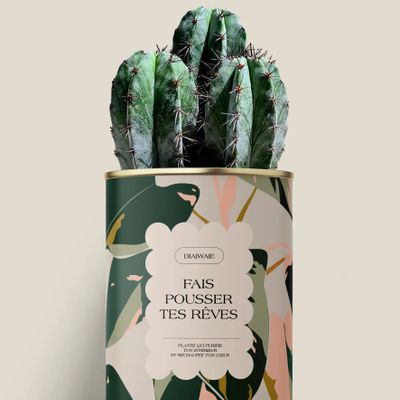 Gifts - Fais pousser tes rêves - Maxi Cactus - DIAIWAIE
