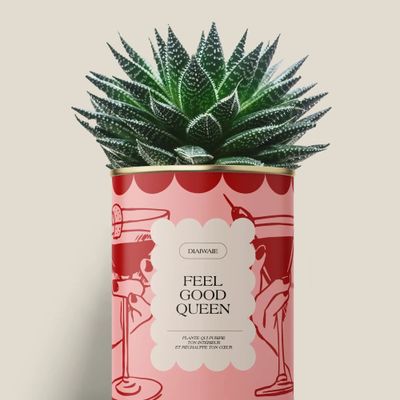 Gifts - FEEL GOOD QUEEN - Maxi Aloé - DIAIWAIE