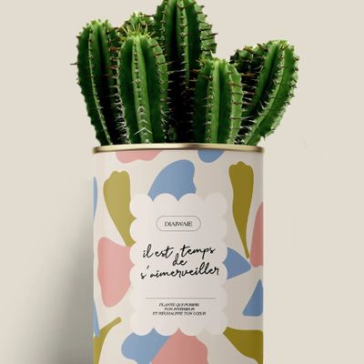 Gifts - Il est temps de s'aimerveiller - Maxi Cactus - DIAIWAIE