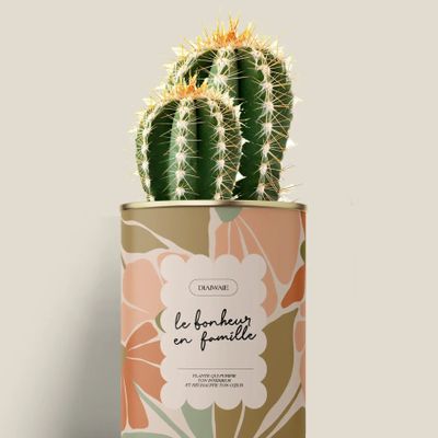 Cadeaux - Le bonheur en famille - Mini Cactus - DIAIWAIE