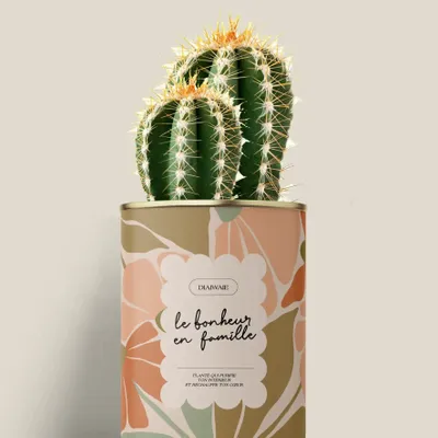Gifts - Le bonheur en famille - Mini Cactus - DIAIWAIE