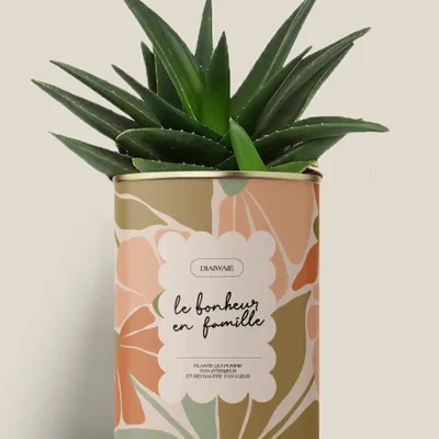 Gifts - Le bonheur en famille - Maxi Aloé - DIAIWAIE