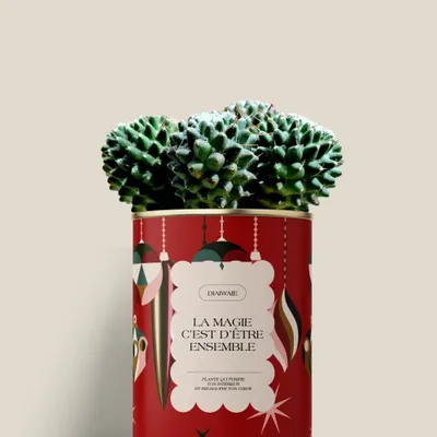Gifts - LA MAGIE C'EST D'ÊTRE ENSEMBLE - Mini Cactus - DIAIWAIE