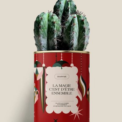 Gifts - LA MAGIE C'EST D'ÊTRE ENSEMBLE - Maxi Cactus - DIAIWAIE