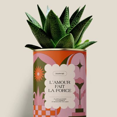 Cadeaux - L'AMOUR FAIT LA FORCE - Maxi Aloé - DIAIWAIE
