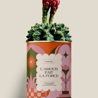 Cadeaux - L'AMOUR FAIT LA FORCE - Maxi Cactus - DIAIWAIE