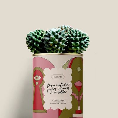 Gifts - Trop entière pour aimer à moitié - Mini Cactus - DIAIWAIE