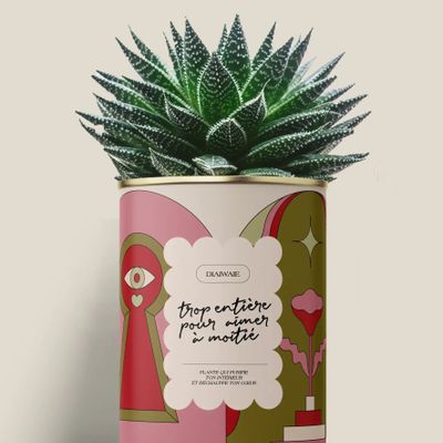 Gifts - Trop entière pour aimer à moitié - Maxi Aloé - DIAIWAIE