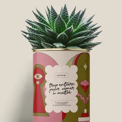 Cadeaux - Trop entière pour aimer à moitié - Maxi Aloé - DIAIWAIE