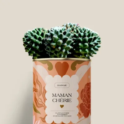 Cadeaux - Maman Chérie - Mini Cactus - DIAIWAIE