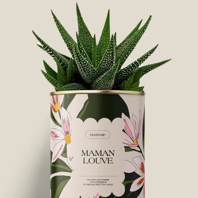 Gifts - Maman Louve - Mini Aloé - DIAIWAIE
