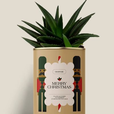 Gifts - Merry Chrismas - Maxi Aloé - DIAIWAIE