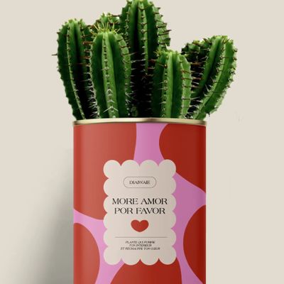 Cadeaux - More amor por favor - Maxi Cactus - DIAIWAIE