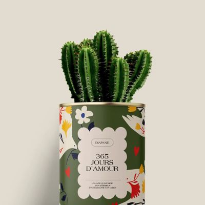 Cadeaux - 365 jours d'amour - Mini Cactus - DIAIWAIE