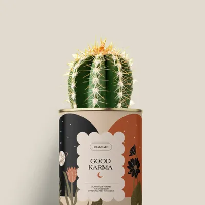 Cadeaux - Good Karma - Mini Cactus - DIAIWAIE
