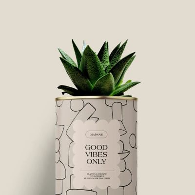 Cadeaux - Good vibes only - Mini Aloé - DIAIWAIE