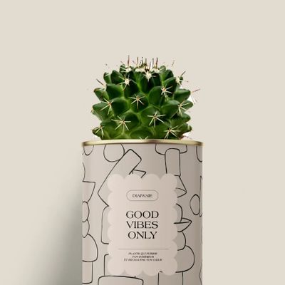 Cadeaux - Good vibes only - Mini Cactus - DIAIWAIE