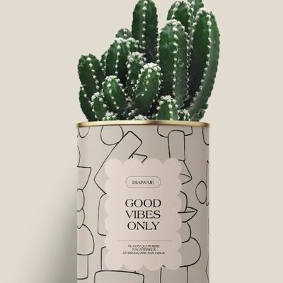 Cadeaux - Good vibes only - Maxi Cactus - DIAIWAIE