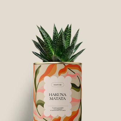 Cadeaux - Hakuna matata - Mini Aloé - DIAIWAIE