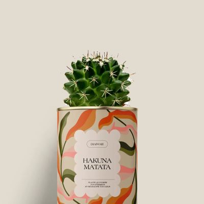 Cadeaux - Hakuna matata - Mini Cactus - DIAIWAIE