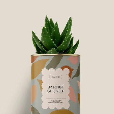 Gifts - Jardin secret - Mini Aloé - DIAIWAIE