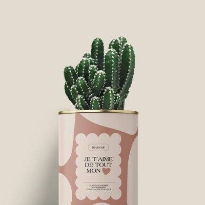 Cadeaux - Je t'aime de tout mon coeur - Mini Cactus - DIAIWAIE