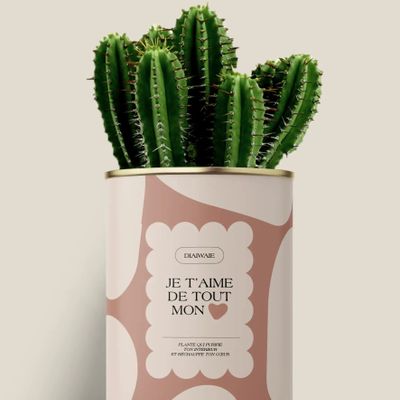 Cadeaux - Je t'aime de tout mon coeur - Maxi Cactus - DIAIWAIE