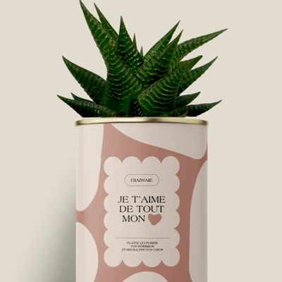 Gifts - Je t'aime de tout mon coeur - Maxi Aloé - DIAIWAIE